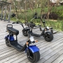 Citycoco in Holland 12 Inch 2000w City Coco electric skateboard scooter/electric Fat Bike/ Mini Kids Adults Electric Motorcycle